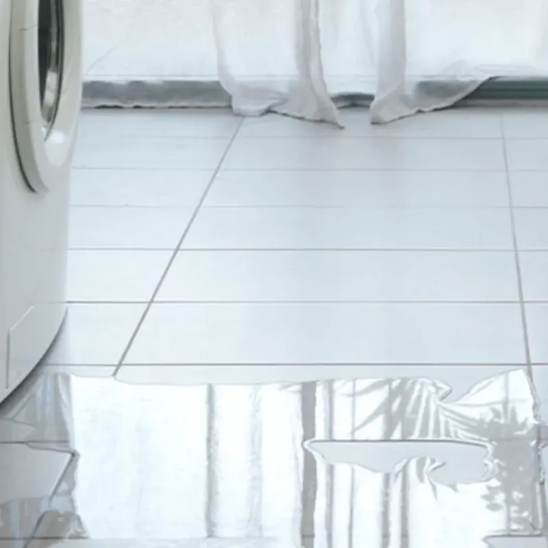 Appliance Leak Cleanup in Gleed, WA