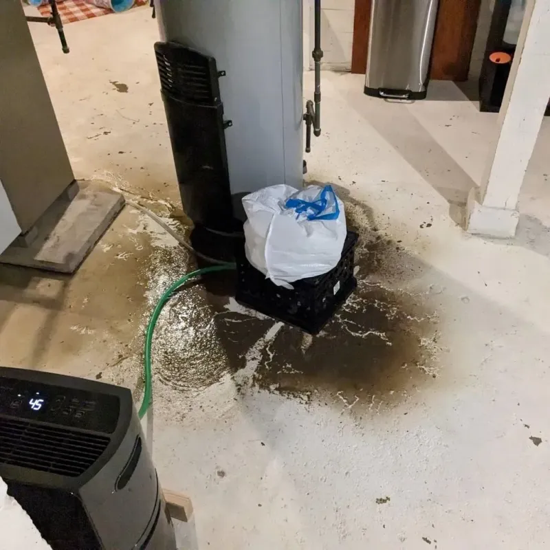 Sewage Backup Cleanup Service in Gleed, WA